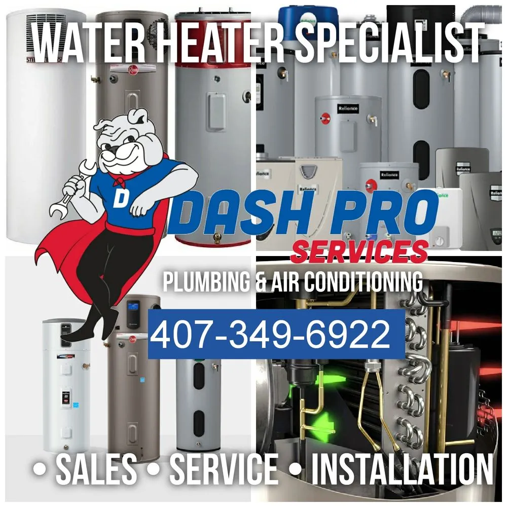 Slide of Dash Pro Services