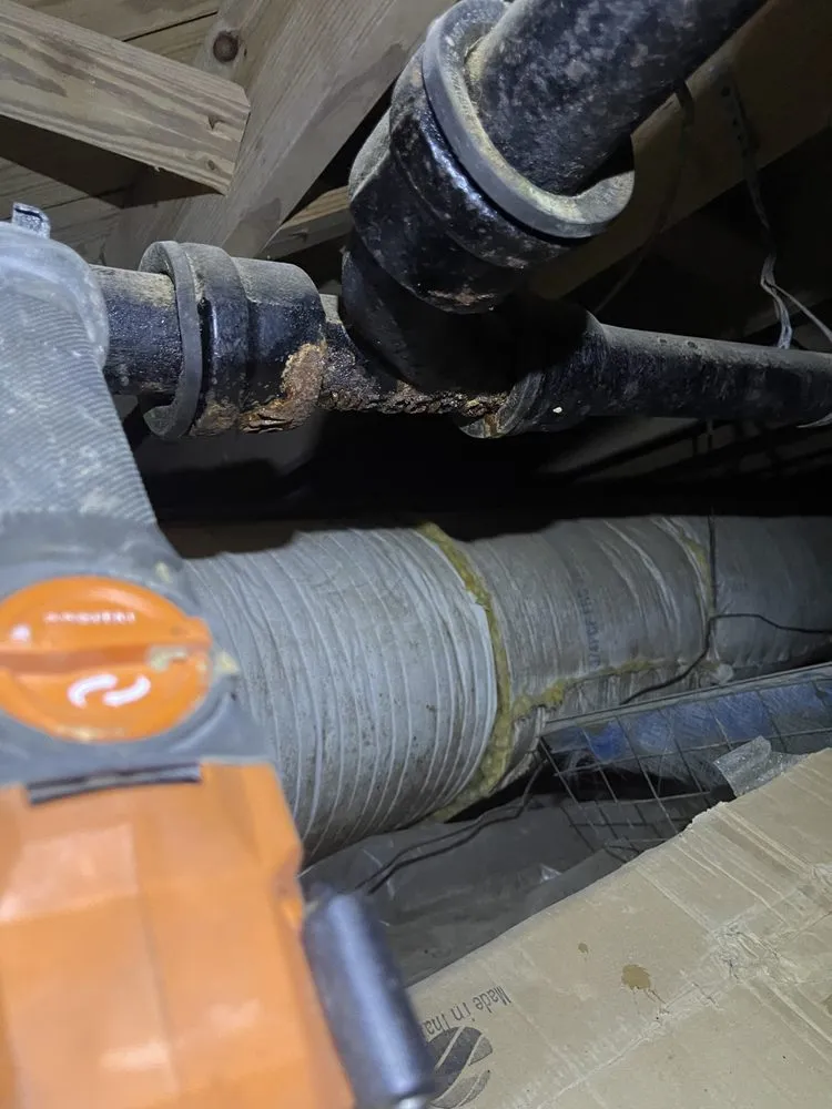 Slide of Dashing Dan Plumbing