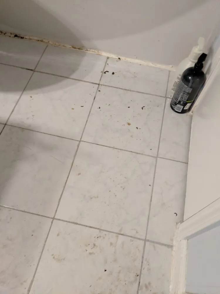 Quality emergency plumbing experts serving Louisville, KY - Dauenhauer Plumbing Heating & Air