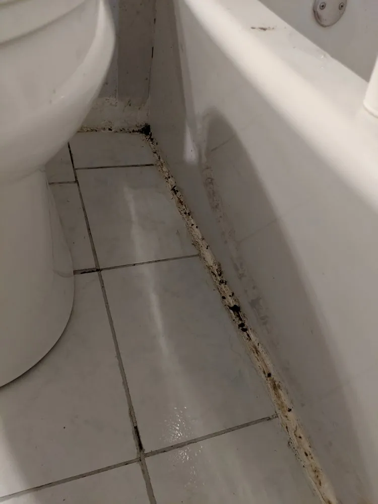 Professional pipe repair in Louisville, KY by Dauenhauer Plumbing Heating & Air