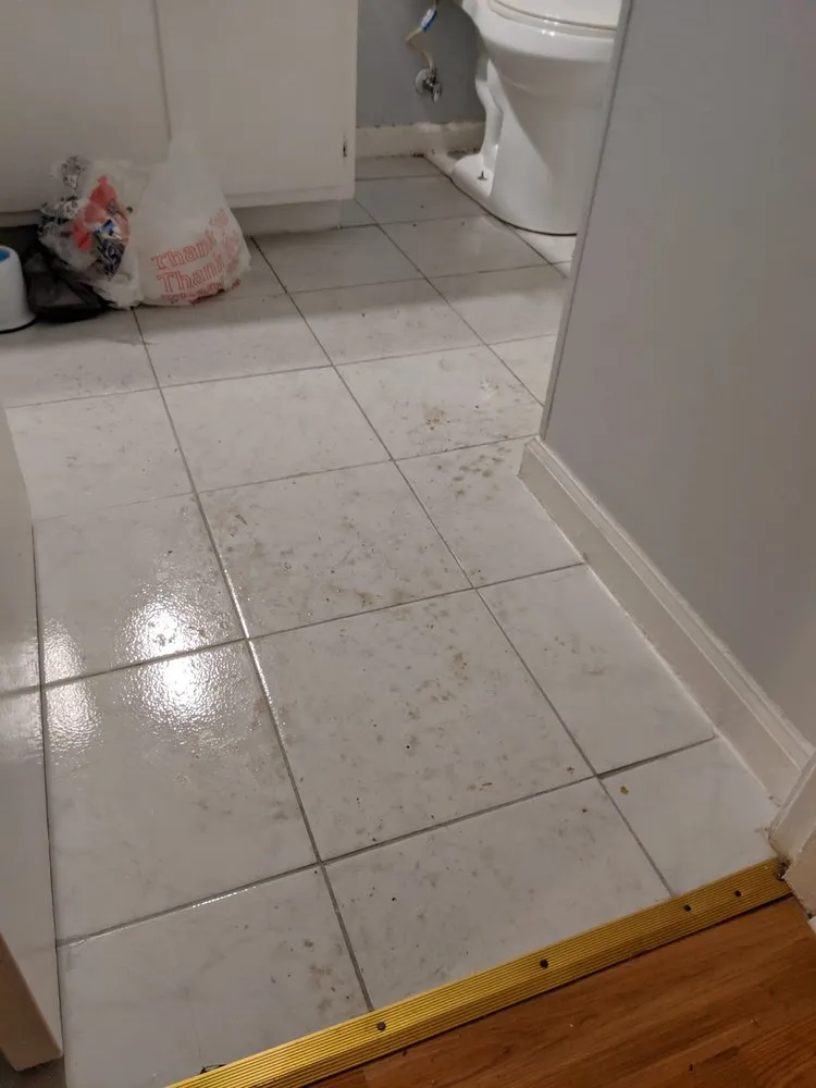 Reliable leak detection service in Louisville, KY - Dauenhauer Plumbing Heating & Air