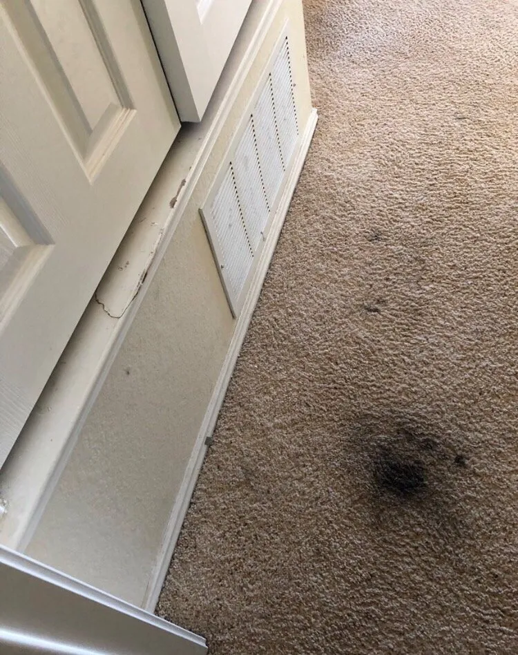 Slide of Daugherty Plumbing