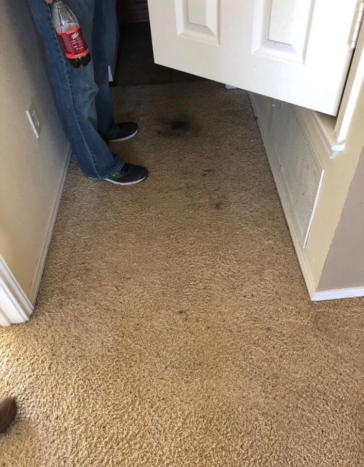 Slide of Daugherty Plumbing