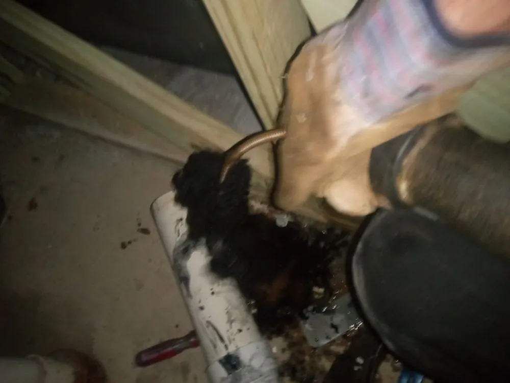 Slide of Dave And Joe's Plumbing