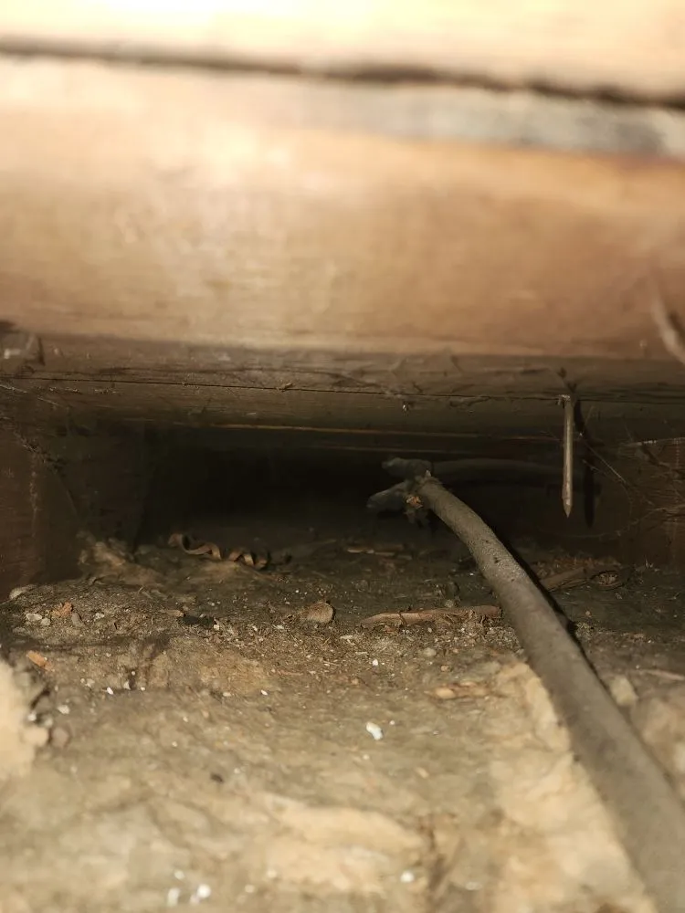 Trusted emergency plumbing service in New Vienna, OH - Dave Hurst Electric Service