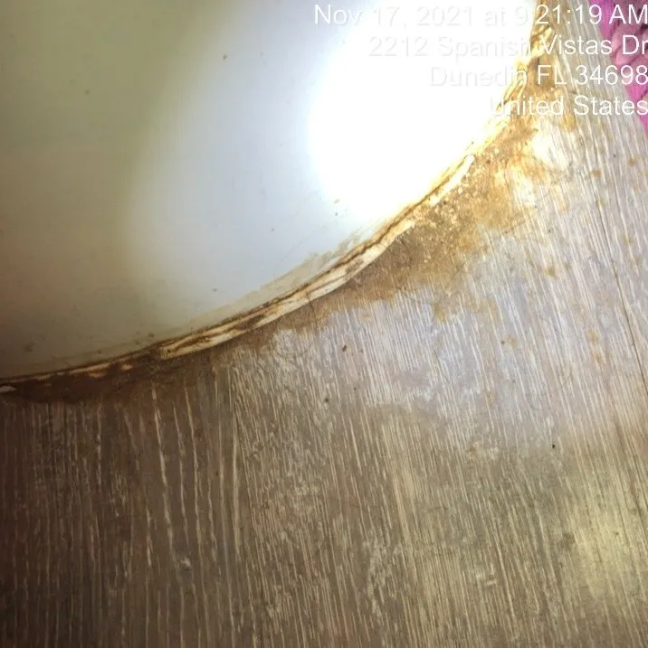 Slide of Dave The Leak Guy