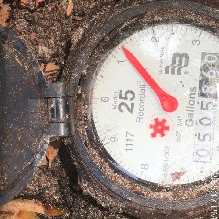 Slide of Dave The Leak Guy