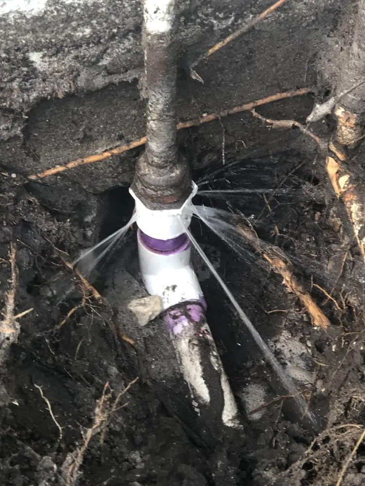 Slide of Dave The Leak Guy