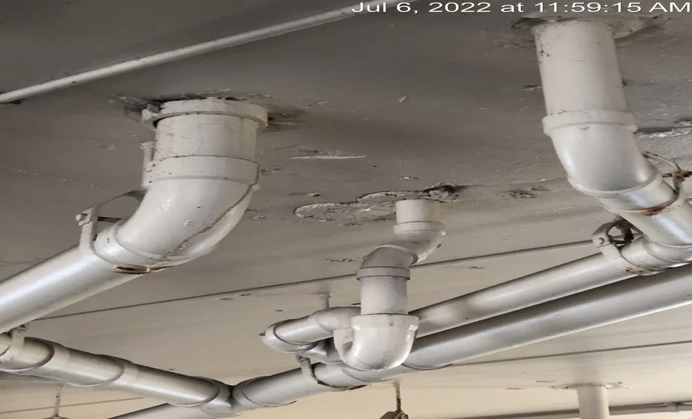 Slide of Dave The Leak Guy