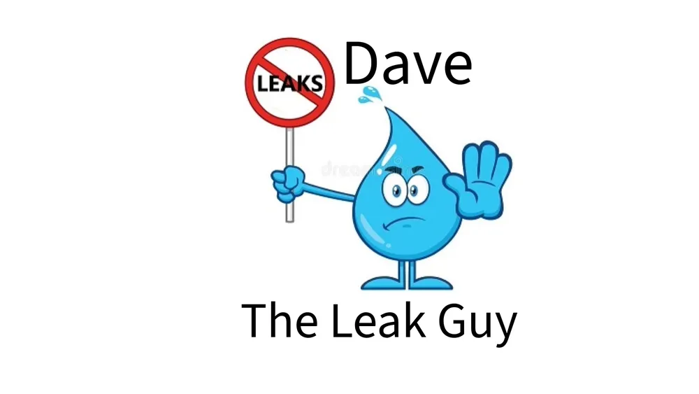 Slide of Dave The Leak Guy