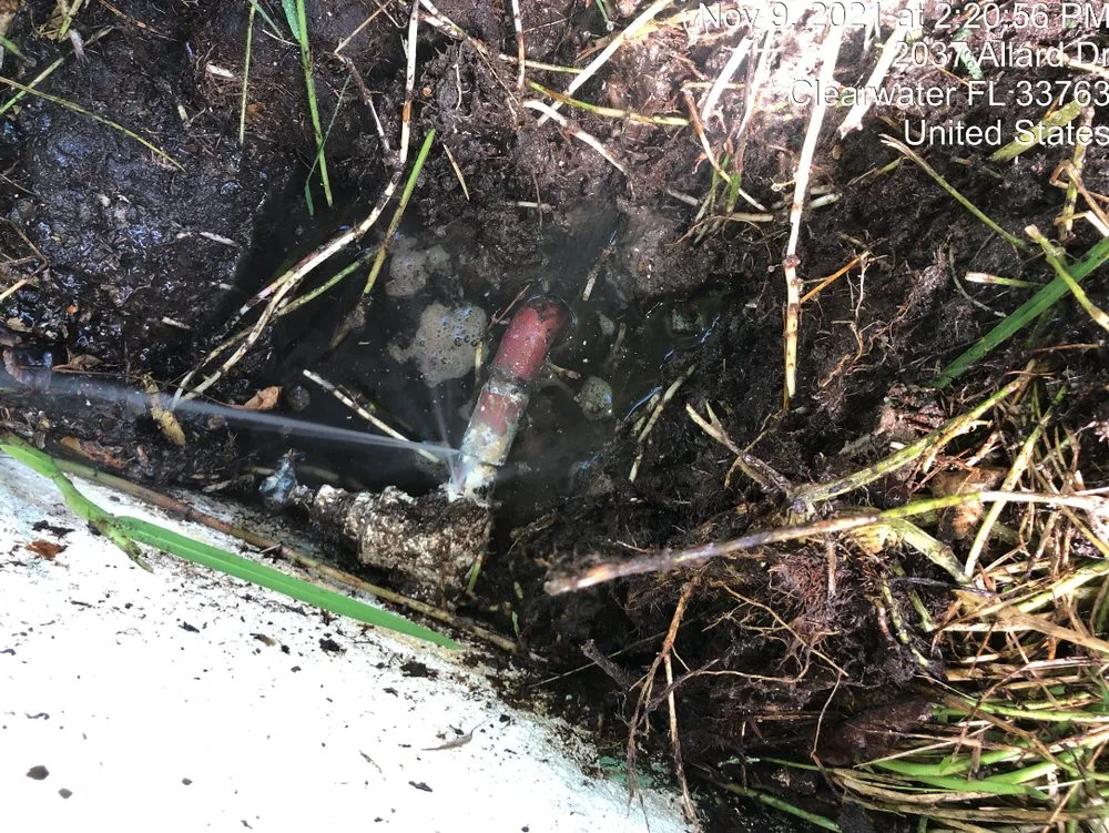 Slide of Dave The Leak Guy