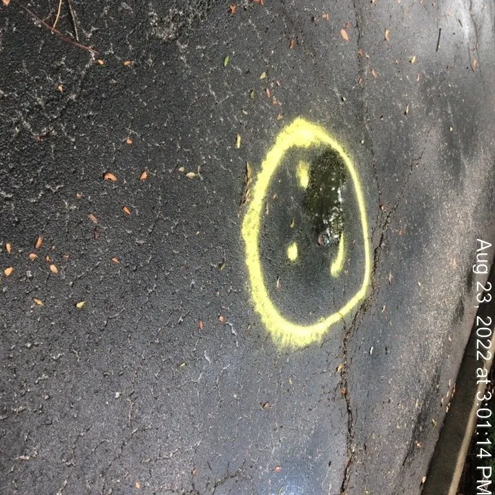 Slide of Dave The Leak Guy