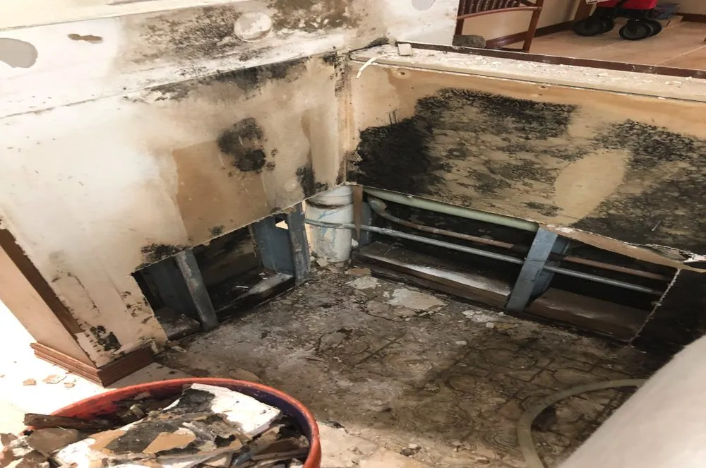 Slide of Dave The Leak Guy