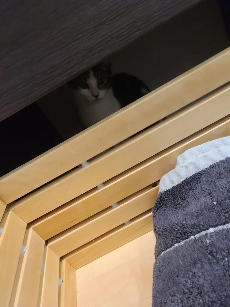 Trusted plumbing repair experts serving Simi Valley, CA - Dave Waye Handyman Services