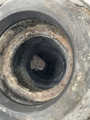 Daves Drain Clogs Logo