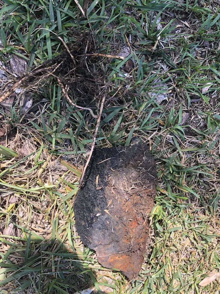 Slide of Dave's Specialized Rooter & Plumbing Services