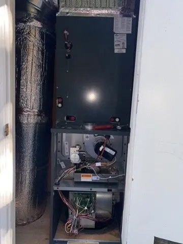 Slide of David Johnson