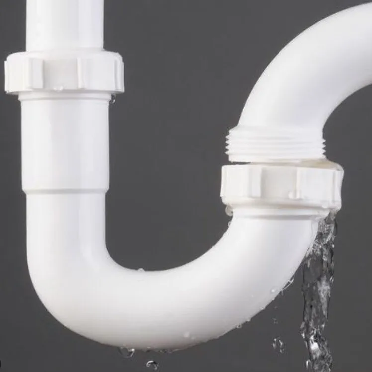 Slide of David L Merrit