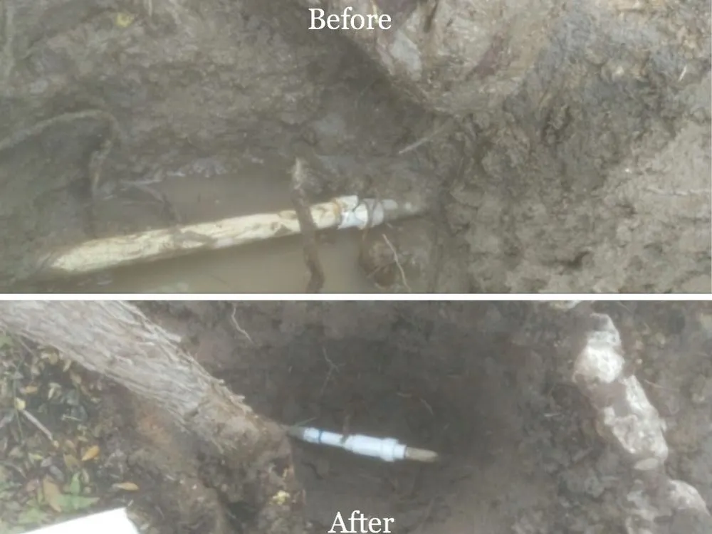 Slide of David Melchior