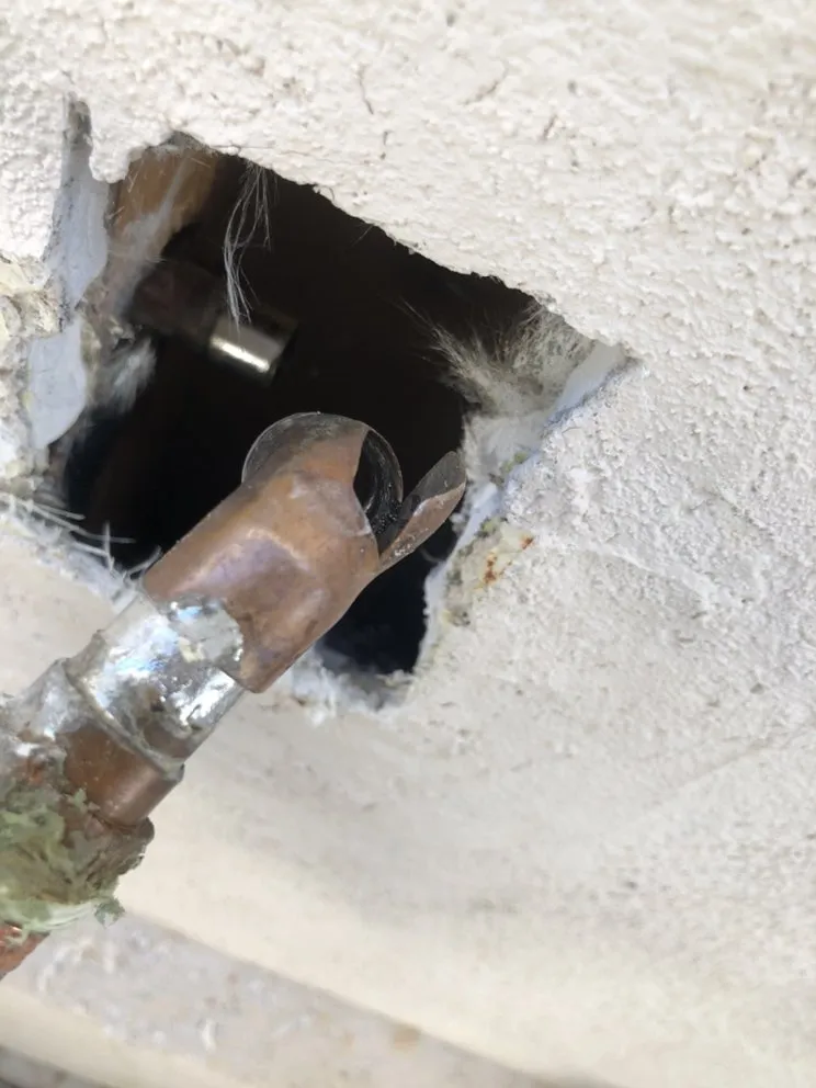 Slide of David Millegan Back Flow Pro & Services