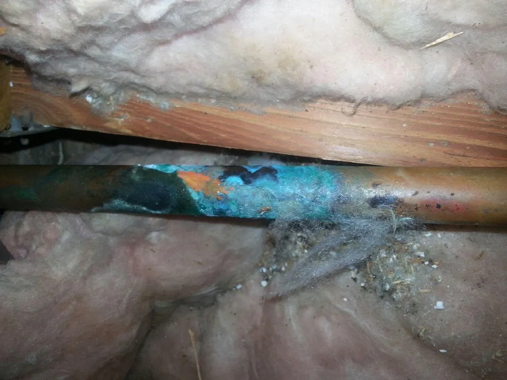 Slide of David Miller Plumbing