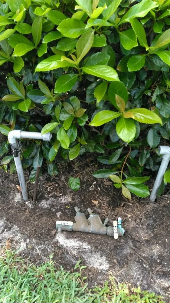 Slide of David Miller Plumbing