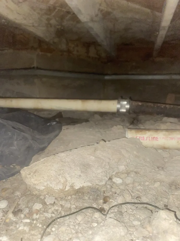 Slide of David Pro Painting and Remodeling