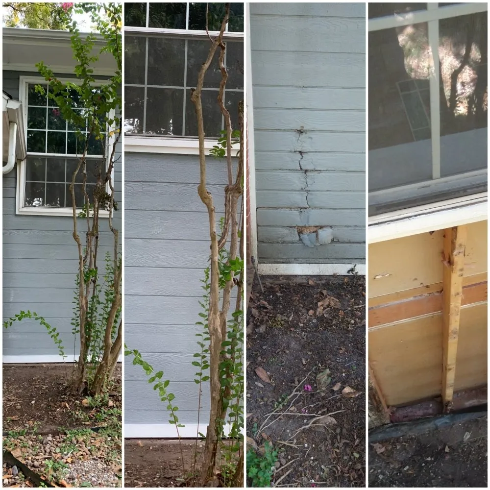 Slide of David Pro Painting and Remodeling