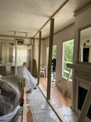 David Pro Painting and Remodeling Logo