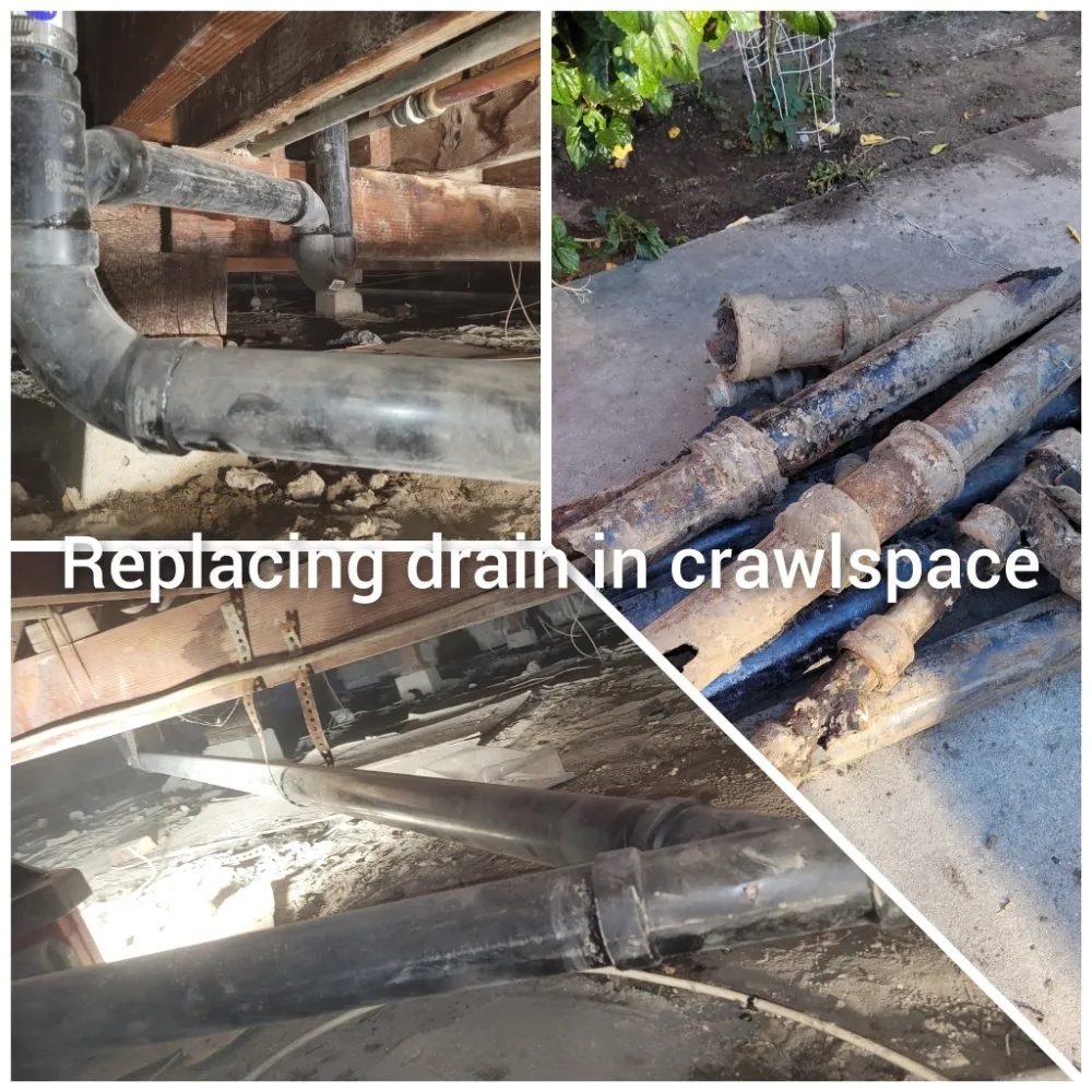 Slide of David Rooter