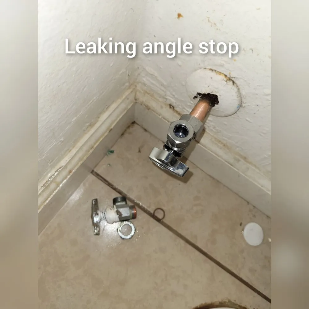 Slide of David Rooter