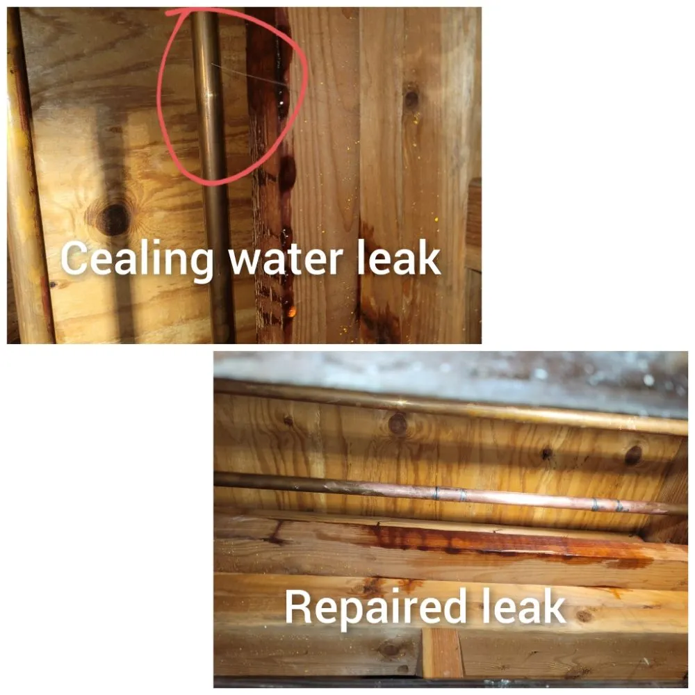 Slide of David Rooter