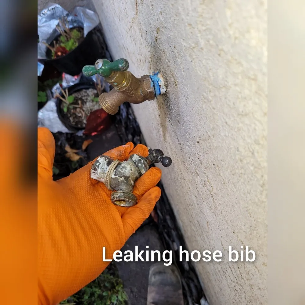 Slide of David Rooter