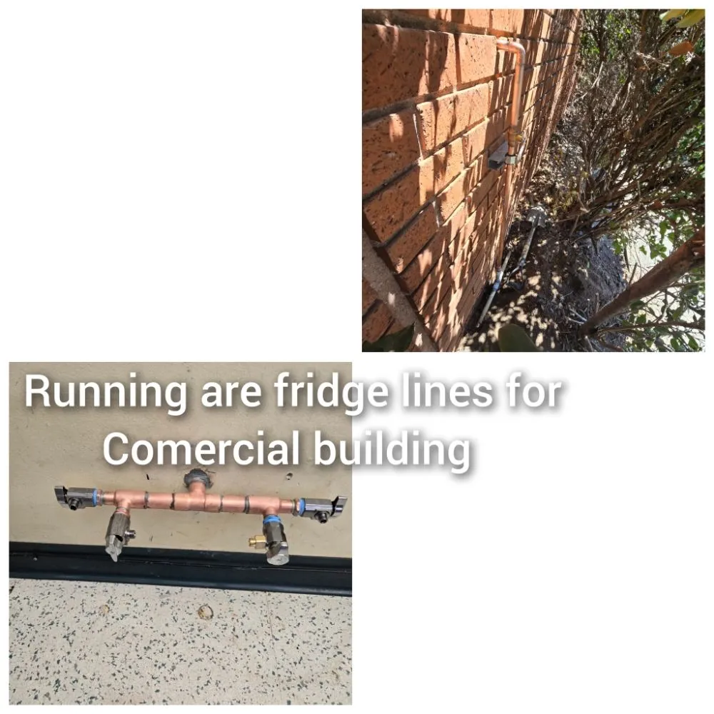 Slide of David Rooter