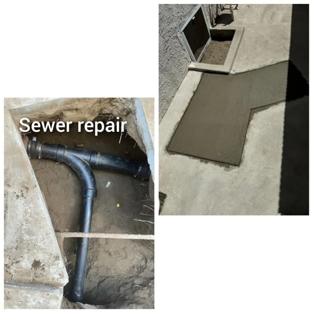 Slide of David Rooter