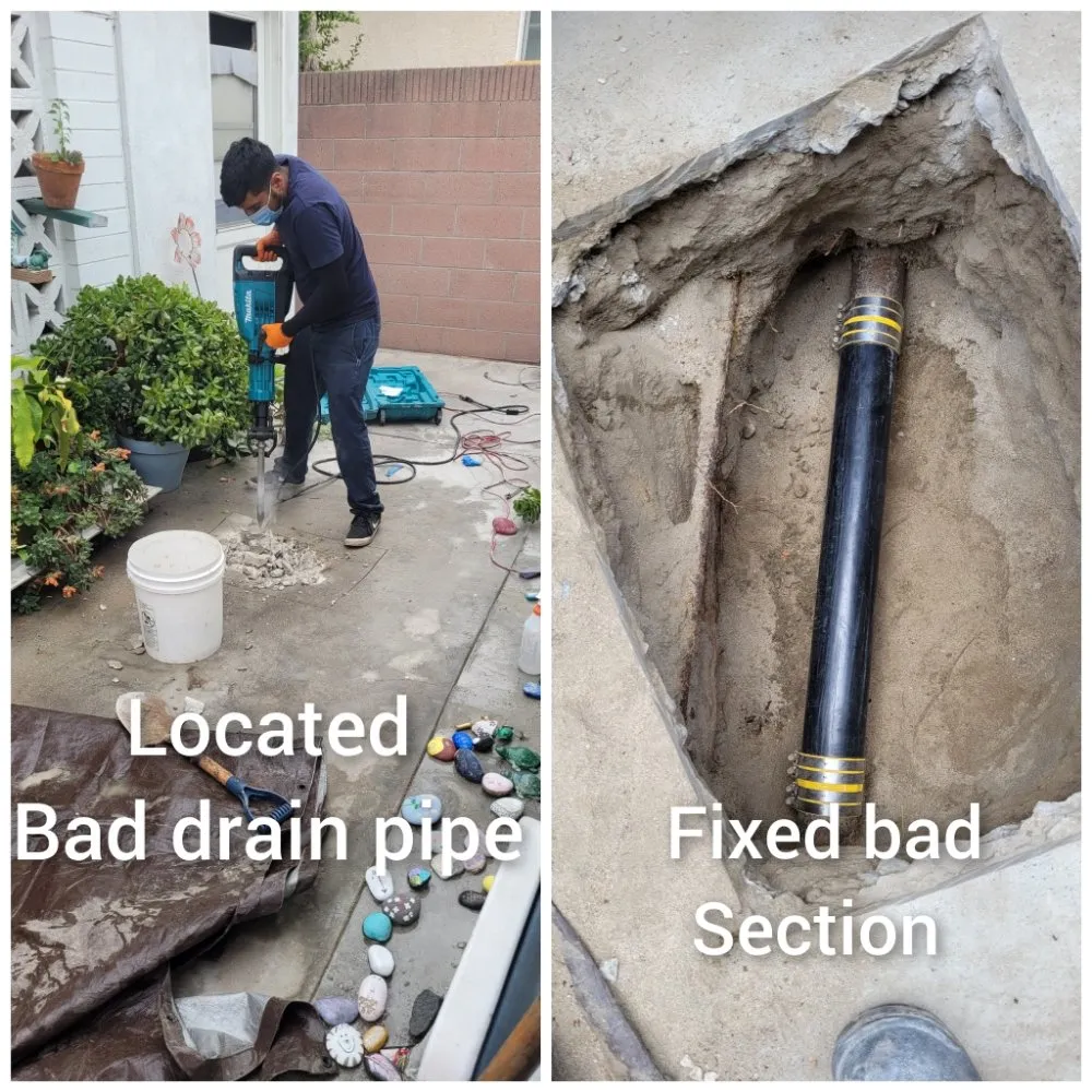 Slide of David Rooter