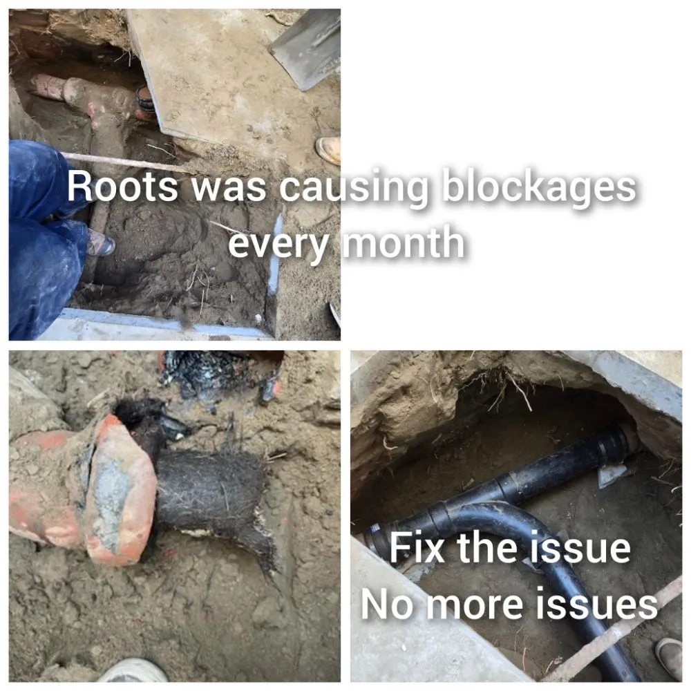 Slide of David Rooter