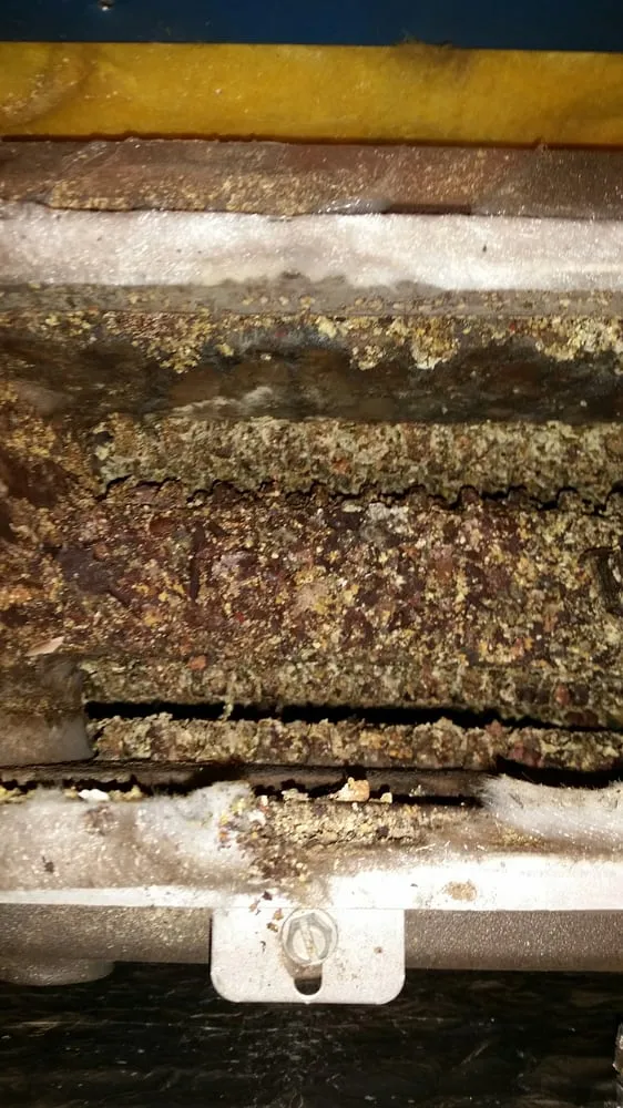 Slide of David Rose Plumbing and Heating