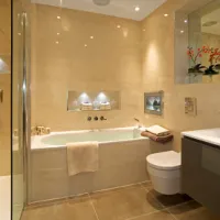 Slide of David the Plumber