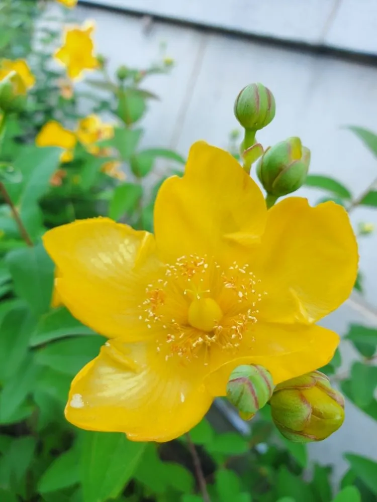 Slide of Davids Art Werkz