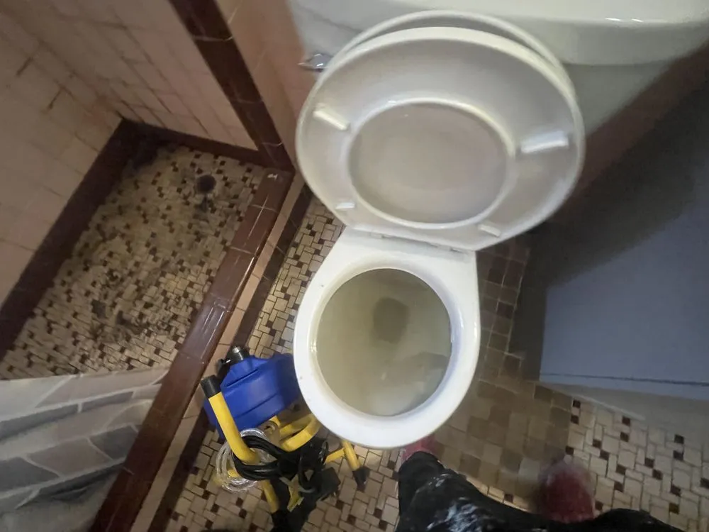 Slide of Davids Pro Services