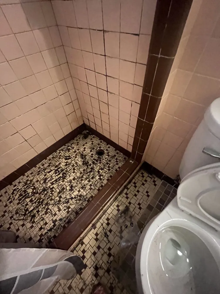 Slide of Davids Pro Services