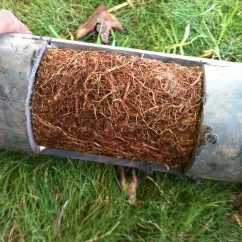 Slide of Davila Rooter & Plumbing