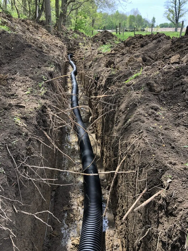 Slide of Davis Excavation