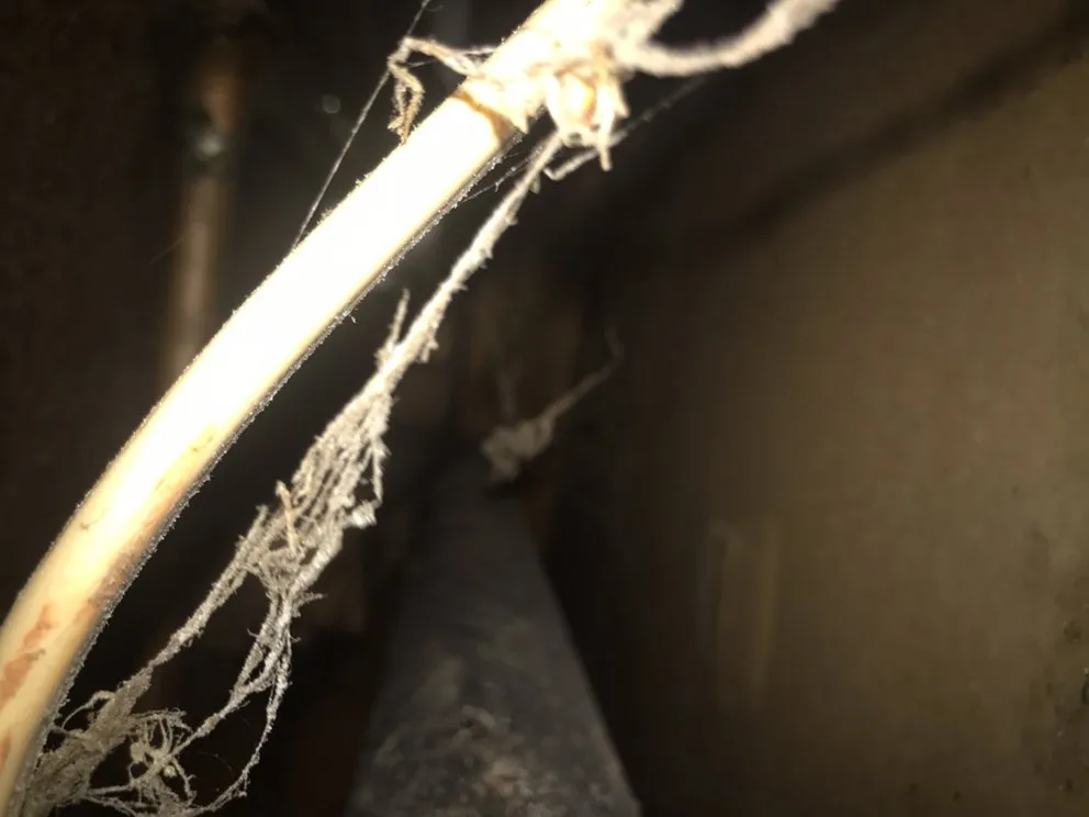 Professional emergency plumbing experts serving Chesnee, SC - Davis Home Repairs