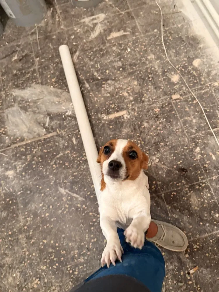 Slide of Davis Plumbing and Tile