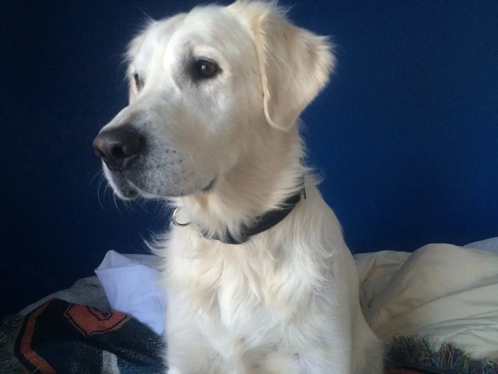 Slide of Davis Plumbing