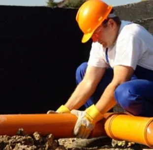 Slide of Dawson-Williams