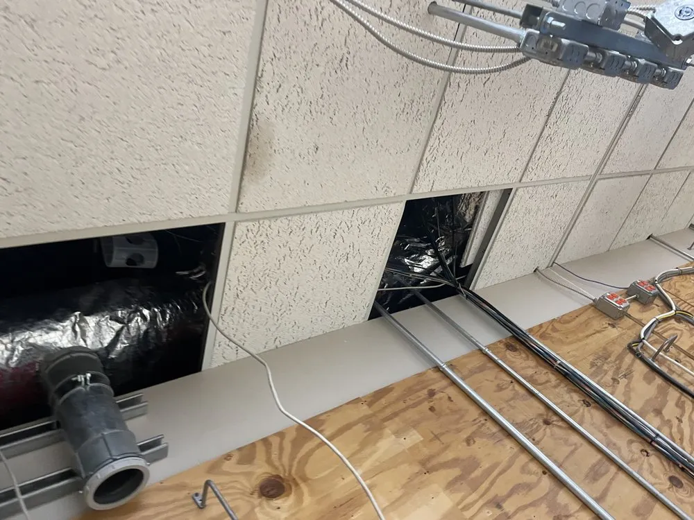 Slide of Dawson's Mechanical