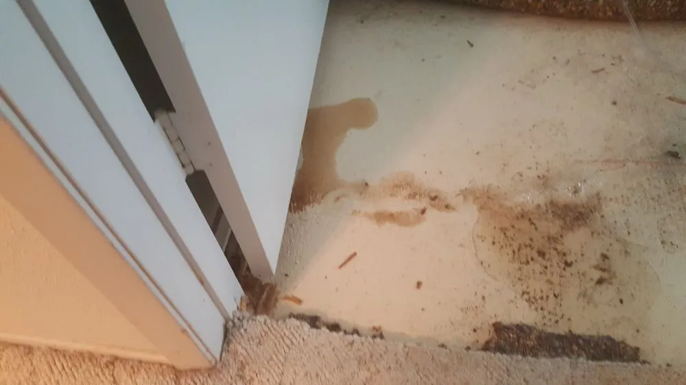 Emergency plumbing repair in Waxahachie, TX by DAZ Plumbing and Locating